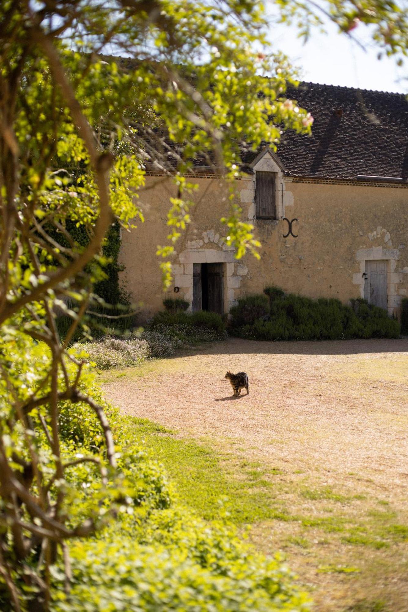 Le Manoir Du Plessis Hotel Dance  Bagian luar foto